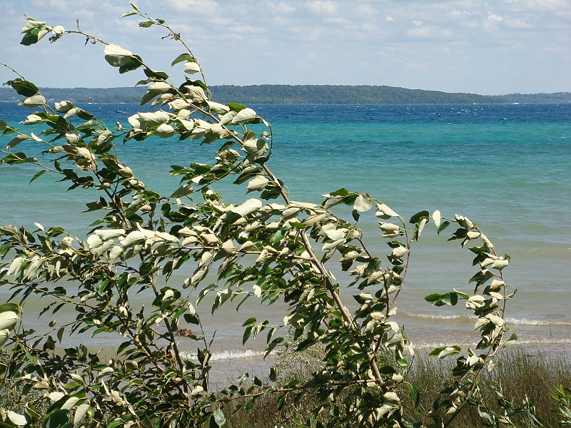 Western Michigan [2010] 559.JPG - Scenes from our trip to Western Michigan. Some places along the way were Ludington, Sleep Bear Dunes, and Traverse City.